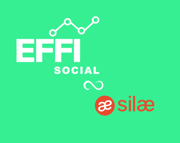 https://www.effisocial.fr/