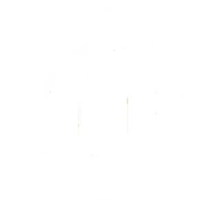 icone accompagnement cybersecurite mismo
