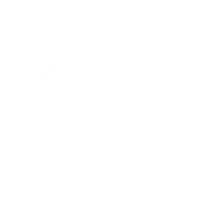 icone accompagnement utilisateurs mismo
