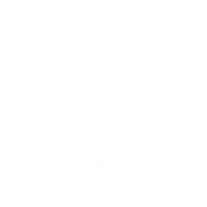 icone borne wifi mismo