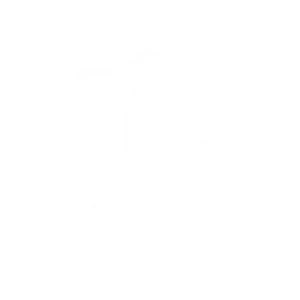 icone chiffrement et protection des echanges mismo