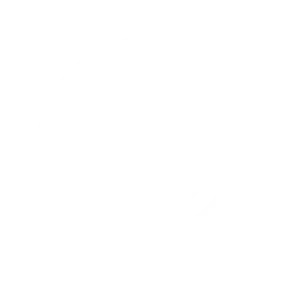 icone detection securite soc mismo