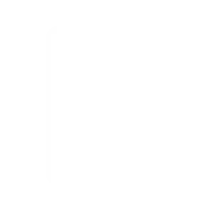 icone e sim mismo