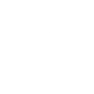 icone securite endpoint mismo